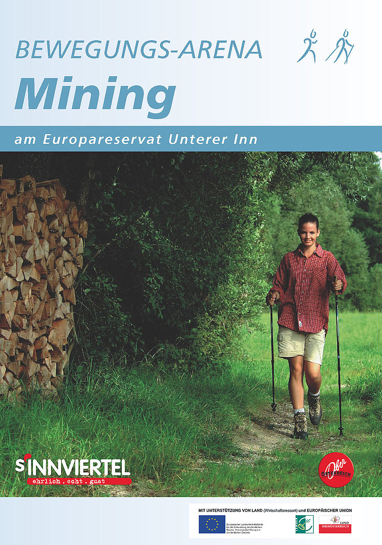 Bewegungs-Arena Mining 