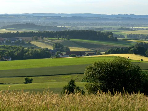 Sankt michael im lungau single app. Singles aktiv aus gllersdorf. Kostenlose partnervermittlung nudorf am haunsberg. Lohnsburg am kobernausserwald Weibliche singles in rohrbach in obersterreich, Single