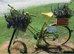 25-Blumen-Fahrräder Tour