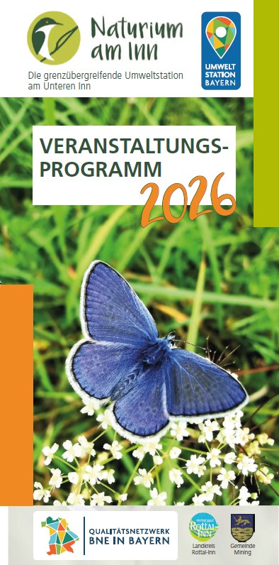 Titelseite eines Veranstaltungsprogramm 2026 auf dem ein Schmetterling abgebildet ist.